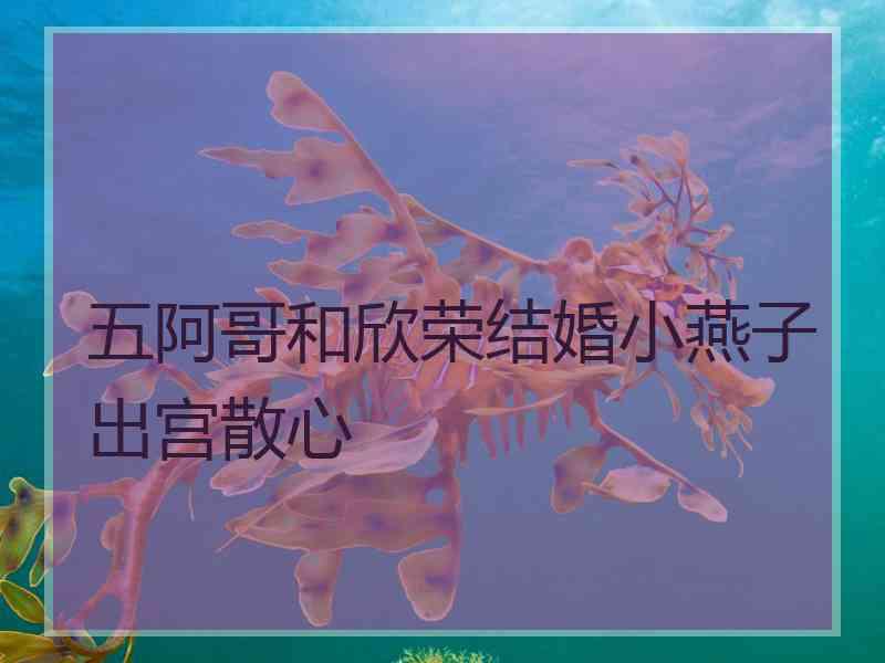 五阿哥和欣荣结婚小燕子出宫散心