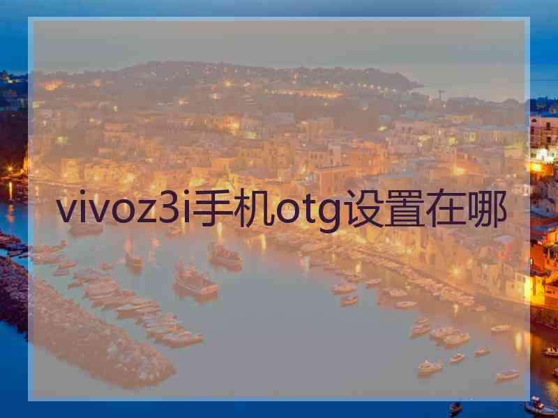 vivoz3i手机otg设置在哪