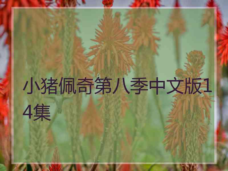小猪佩奇第八季中文版14集