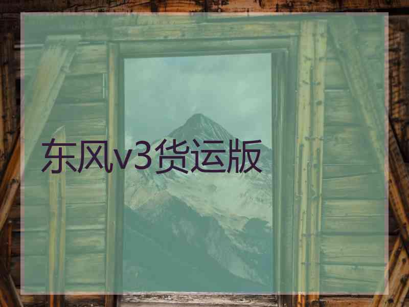 东风v3货运版