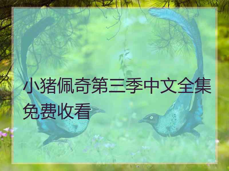 小猪佩奇第三季中文全集免费收看