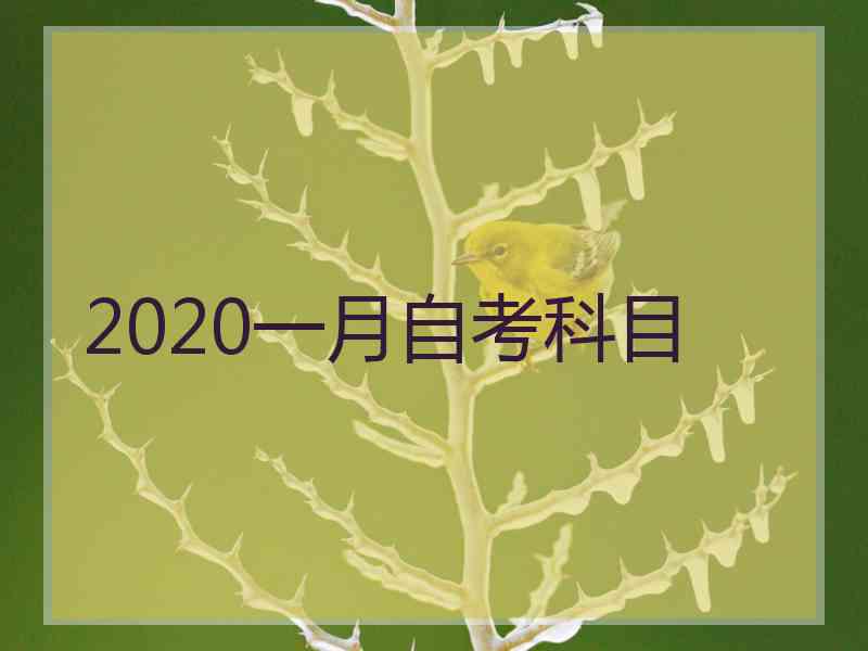 2020一月自考科目