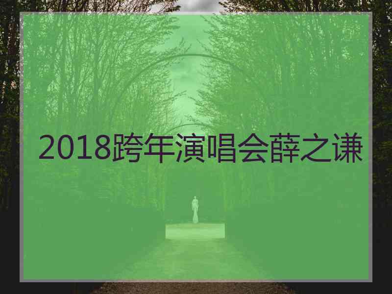 2018跨年演唱会薛之谦