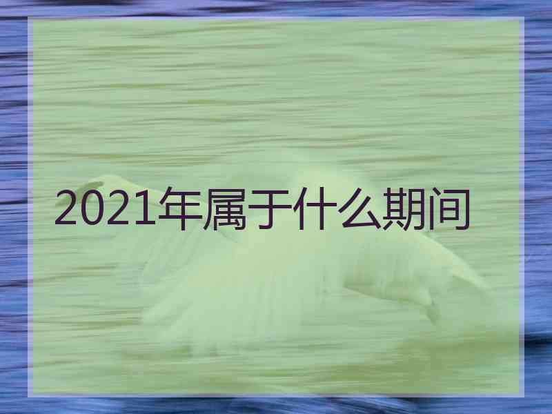 2021年属于什么期间