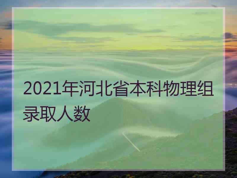 2021年河北省本科物理组录取人数