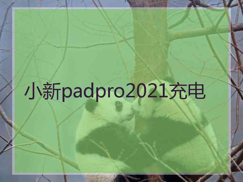 小新padpro2021充电