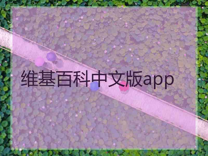 维基百科中文版app
