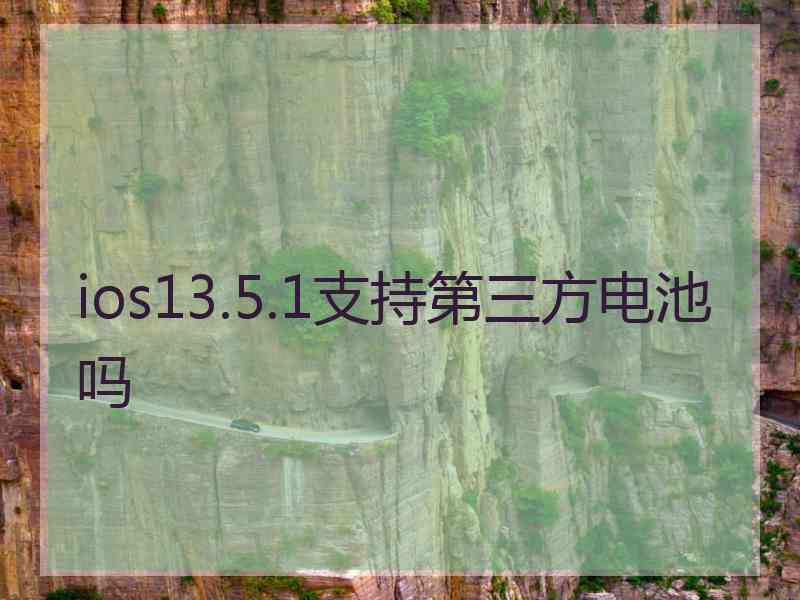 ios13.5.1支持第三方电池吗