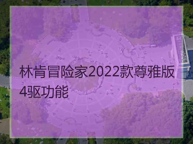 林肯冒险家2022款尊雅版4驱功能