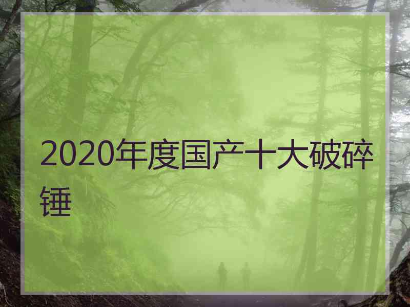 2020年度国产十大破碎锤