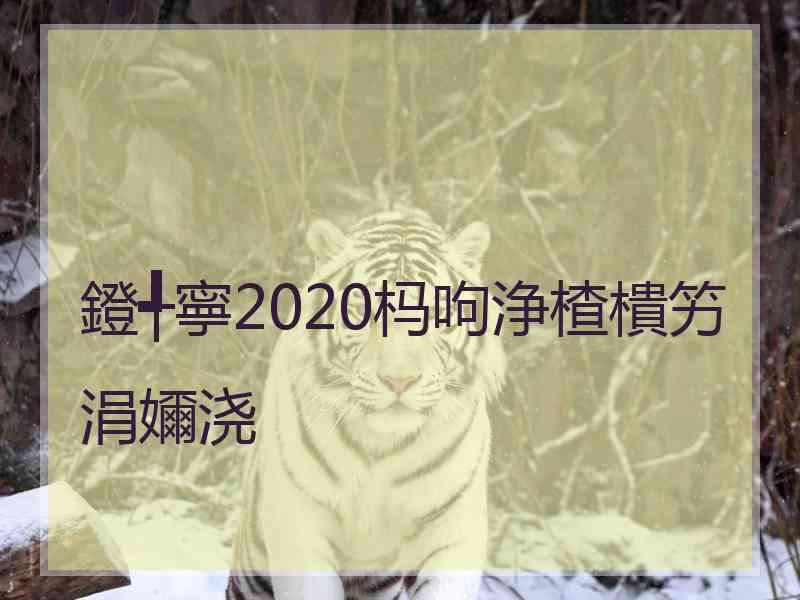 鐙╃寧2020杩呴浄楂樻竻涓嬭浇