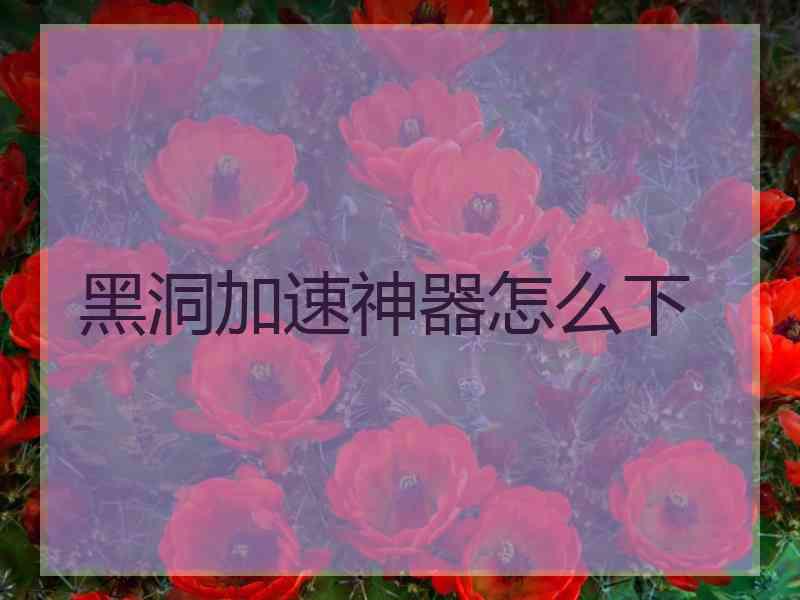 黑洞加速神器怎么下