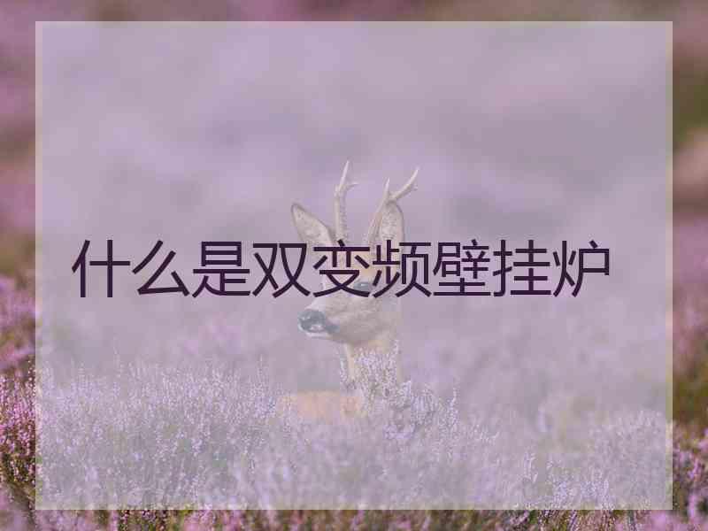 什么是双变频壁挂炉