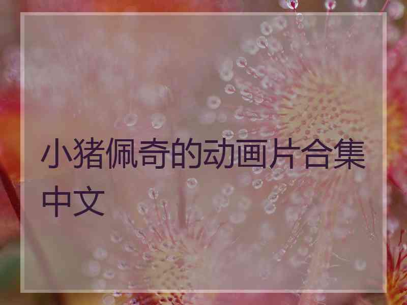 小猪佩奇的动画片合集中文