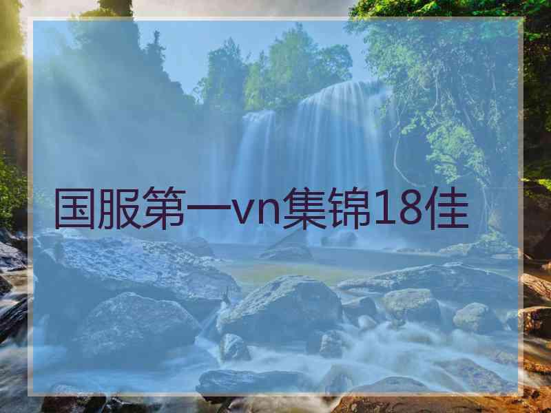 国服第一vn集锦18佳