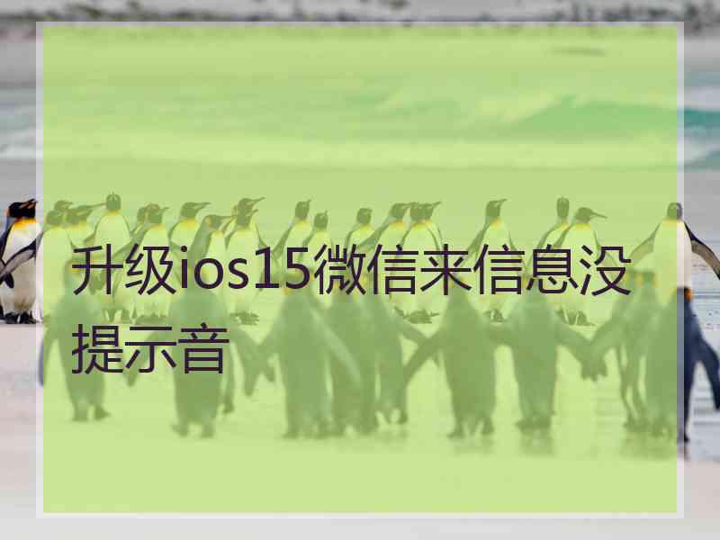 升级ios15微信来信息没提示音