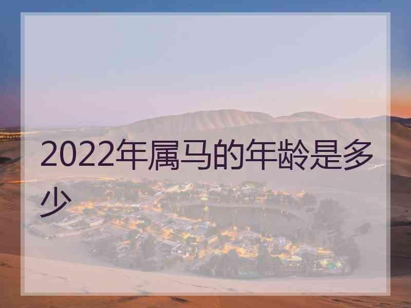 2022年属马的年龄是多少