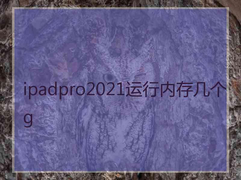 ipadpro2021运行内存几个g