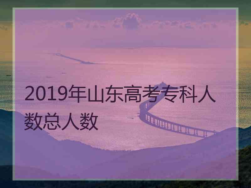 2019年山东高考专科人数总人数