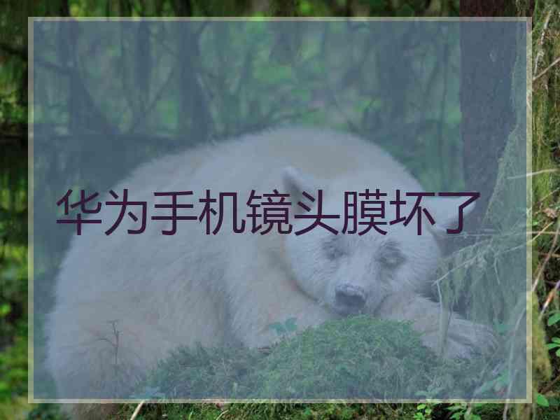 华为手机镜头膜坏了