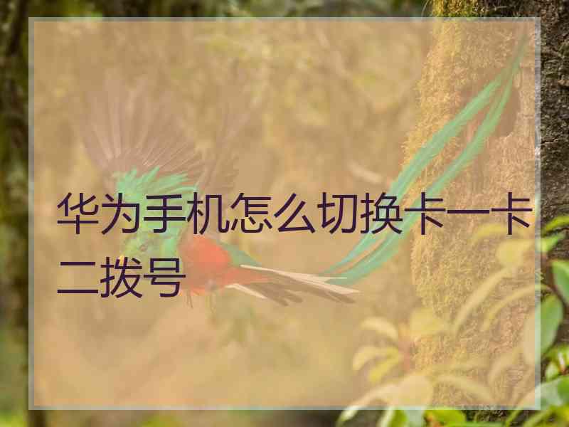 华为手机怎么切换卡一卡二拨号