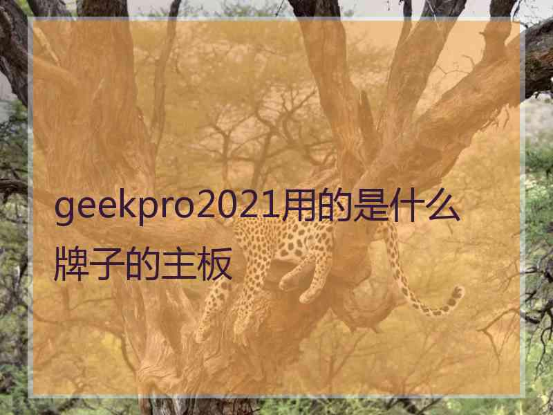 geekpro2021用的是什么牌子的主板