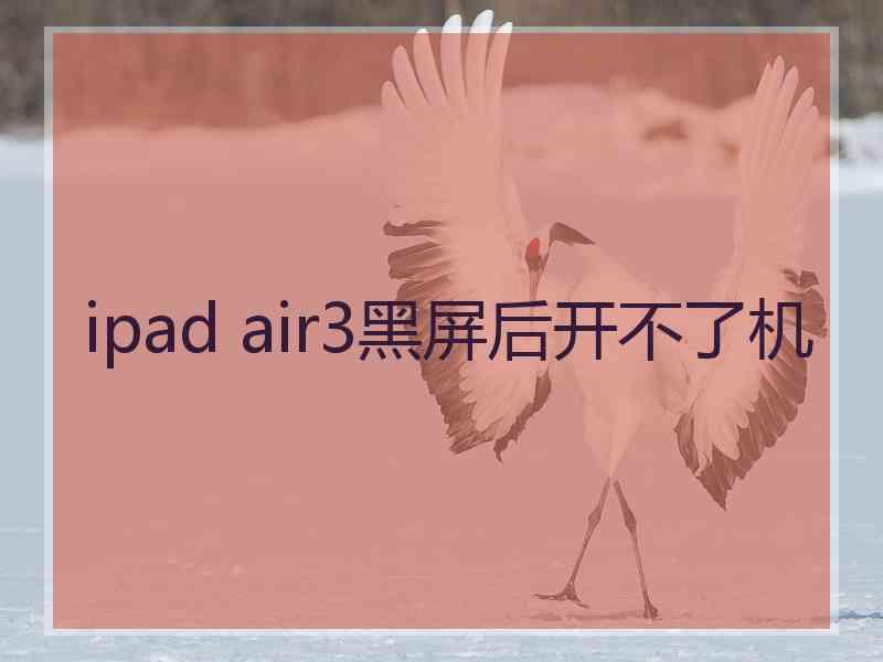 ipad air3黑屏后开不了机