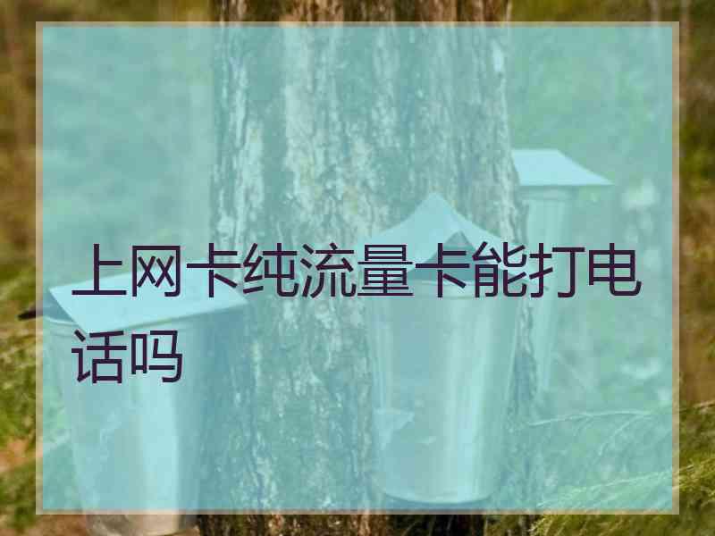 上网卡纯流量卡能打电话吗