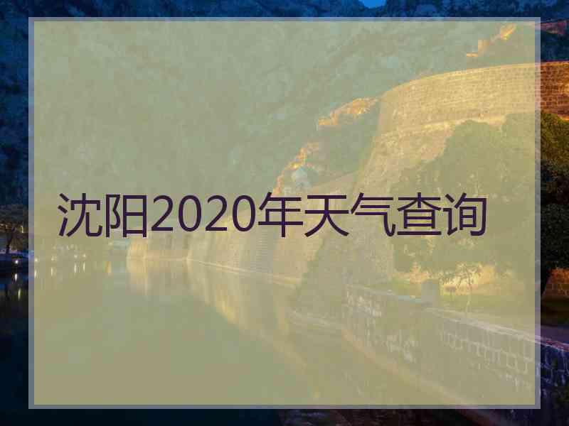 沈阳2020年天气查询