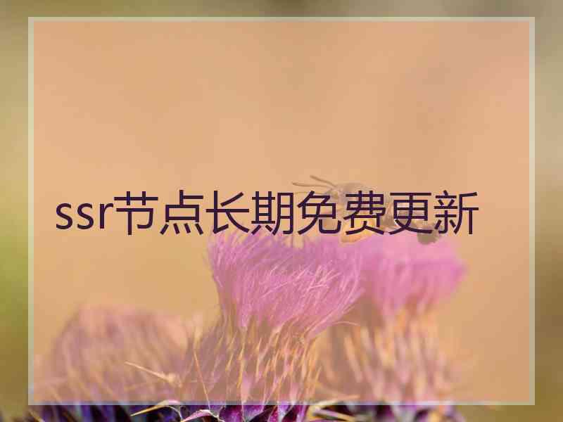 ssr节点长期免费更新