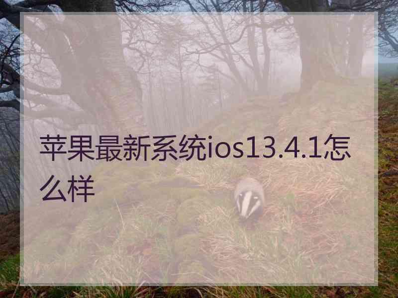 苹果最新系统ios13.4.1怎么样