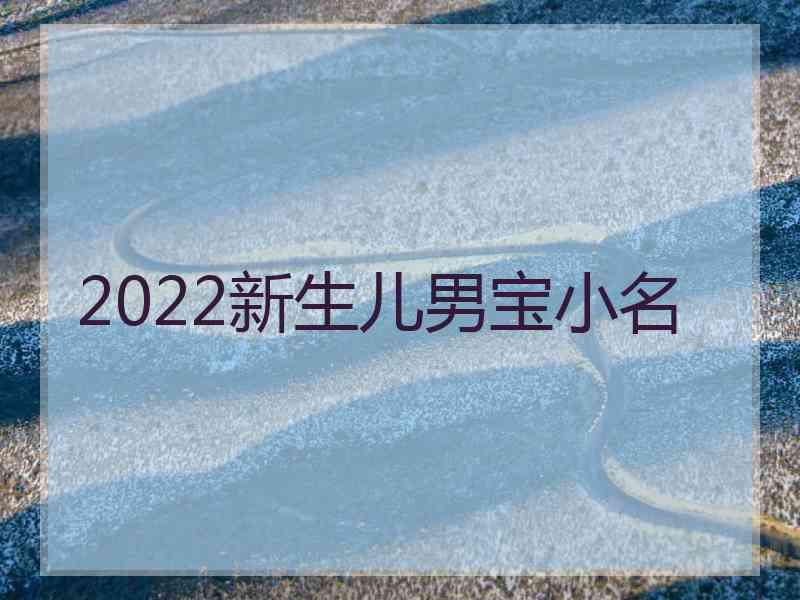 2022新生儿男宝小名
