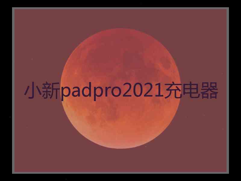 小新padpro2021充电器